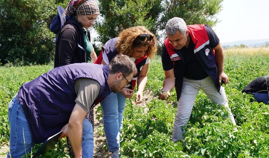Kastamonu’nun ilçesinde tarım yatırımları yerinde incelendi