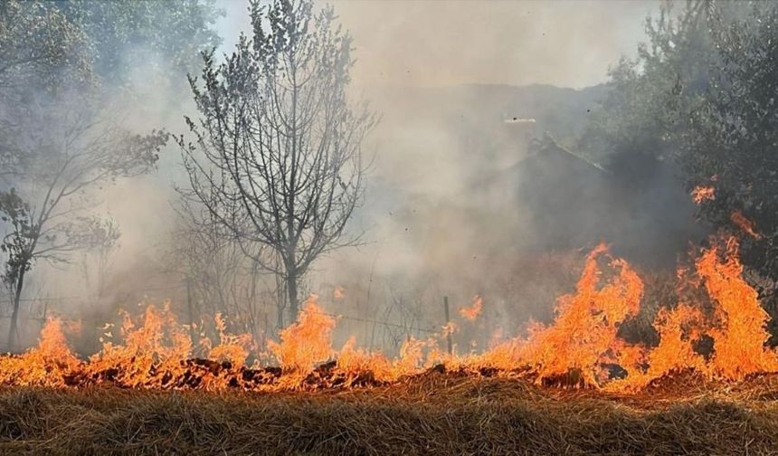 Kastamonu’da peş peşe yangın ihbarı: Doğanyurt’ta orman yangını çıktı!