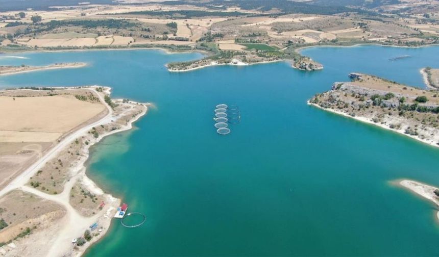 Taşköprü’den de baraja akın var: Kulaksızlar Barajı’nda kafesler patladı, binlerce somon serbest kaldı!