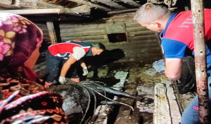 Ahır çöktü, büyükbaş çukura düştü!