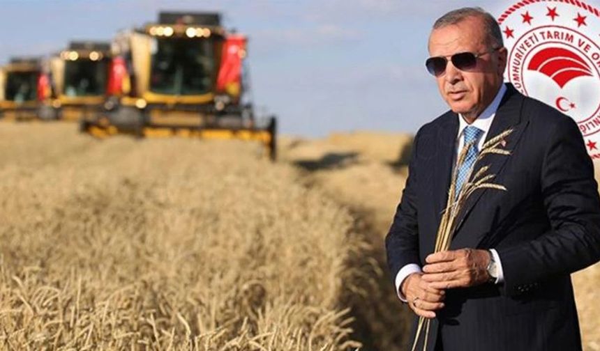 Kastamonulu çiftçide etkilendi: Cumhurbaşkanı Erdoğan'dan çiftçiye müjde var!