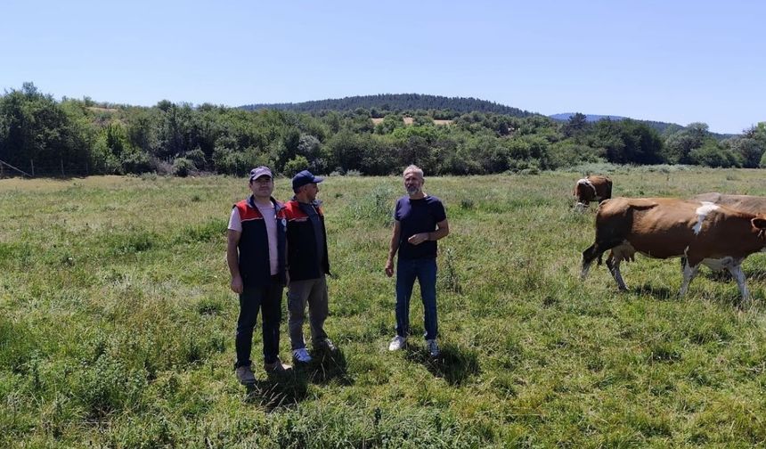 Kastamonu meralarında değişim rüzgarı: Islah çalışmaları meyvesini verdi