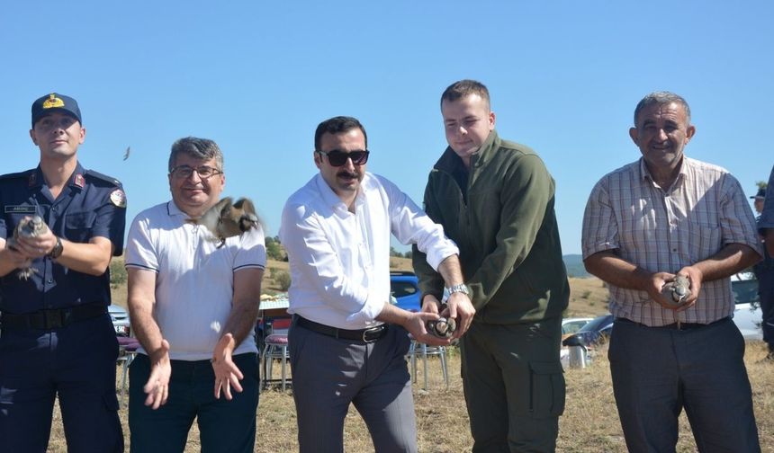 Kastamonu’da kene ile doğal mücadele: Doğaya yüzlerce keklik salındı!