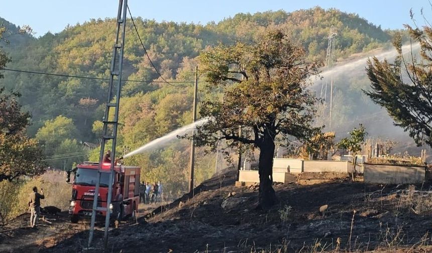 Kastamonu’da peş peşe orman yangınları: 5 samanlık kül oldu