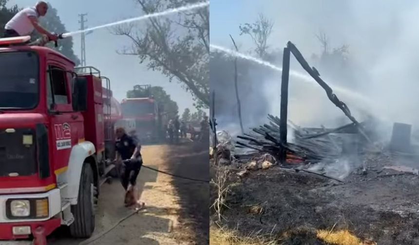 Kastamonu’daki Korkuluk Yangını Korkuttu