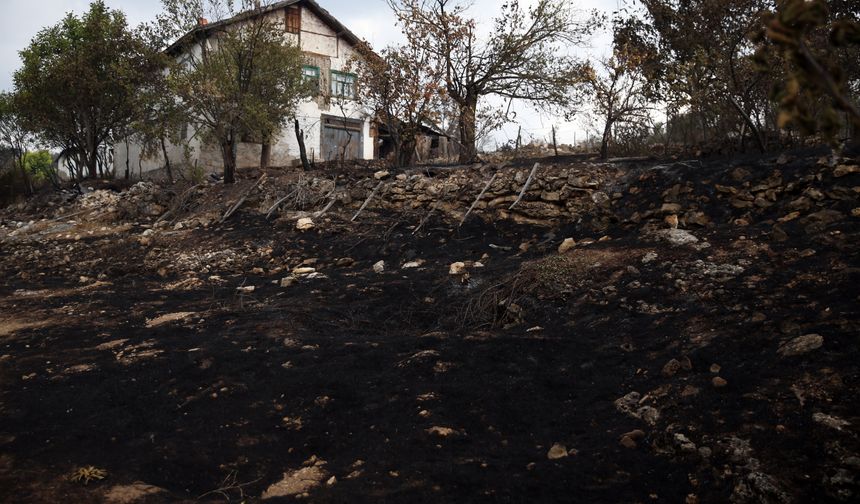 'Allah evimizi kurtardı': Kastamonu'daki feci yangın kontrol altına alındı