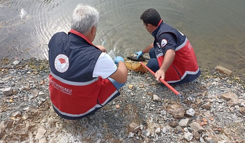 Kastamonu’da balık ölümleri nedeniyle inceleme başlatıldı