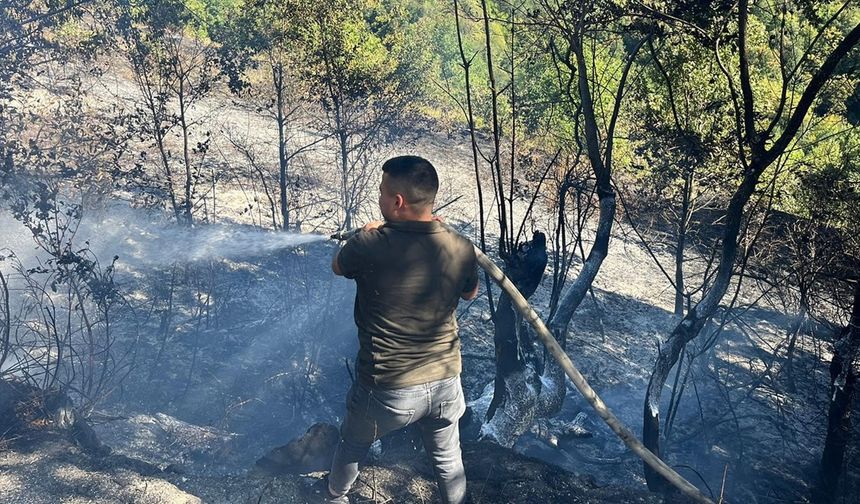 Doğanyurt’ta Yangın Çıktı: Kastamonu Orman Bölge Müdürlüğü Uyardı!