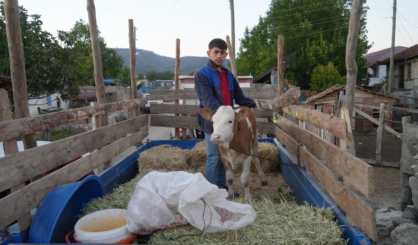 Kastamonu’da yangın söndürüldü, tahliye edilen köylüler evlerine kavuştu