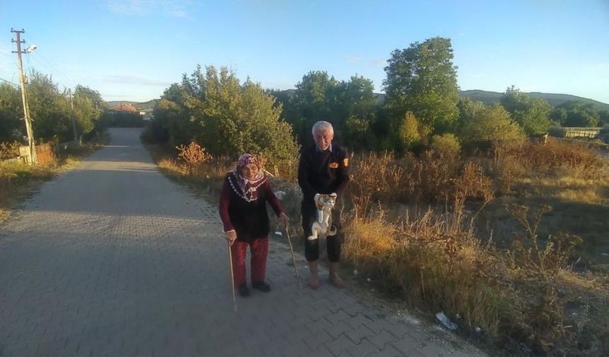 Kastamonu’da Yürek Isıtan Olay: Çaya Düşen Engelli Kedi Kurtarıldı