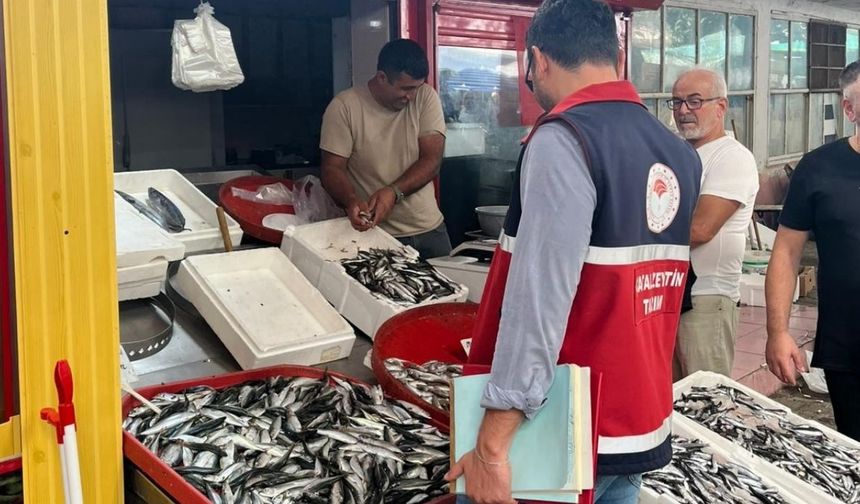 Kastamonu’nun ilçesinde balık tezgahları ve av bayileri denetlendi