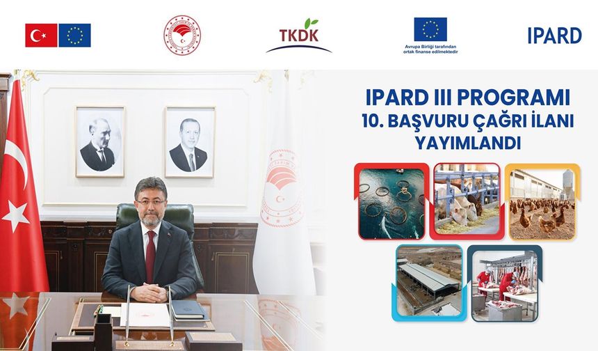 Kastamonulu çiftçide yararlanacak: Tam 188 Milyon Avro