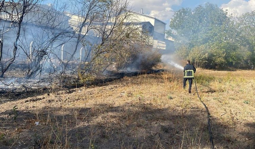 Ot Yangını Korkuttu: İtfaiye Ekipleri Hızla Müdahale Etti