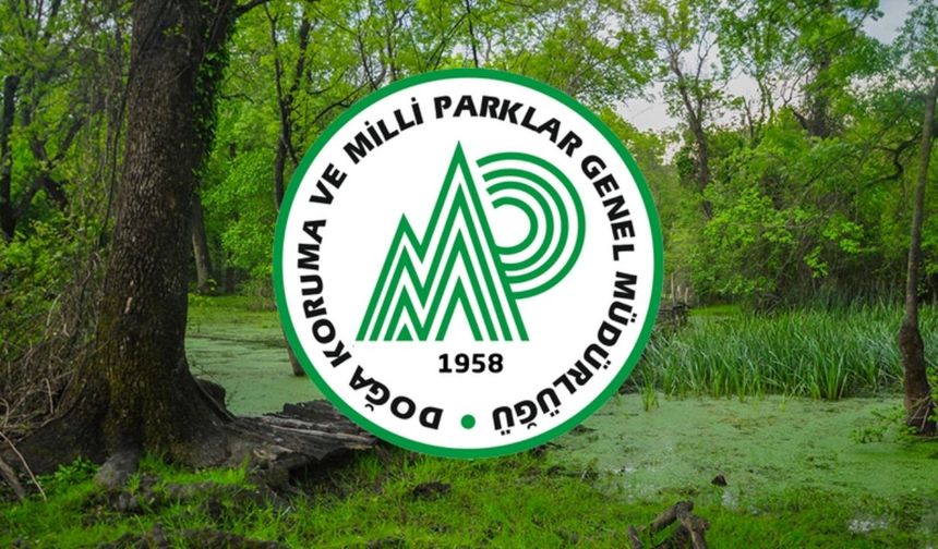 DKMP’den Büyük İstihdam Fırsatı: 240 Yeni Personel Alınacak