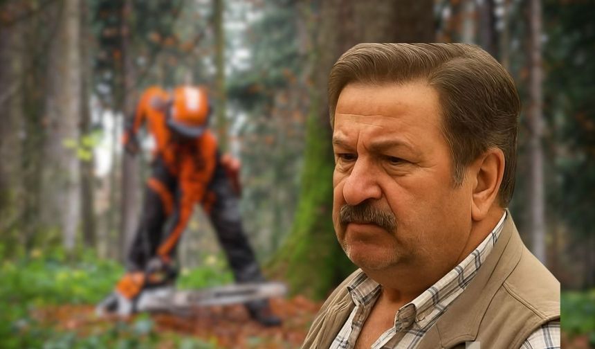 Kastamonu’da Talihsiz Olay: Ağaç Kesmek İsterken Akıma Kapıldı