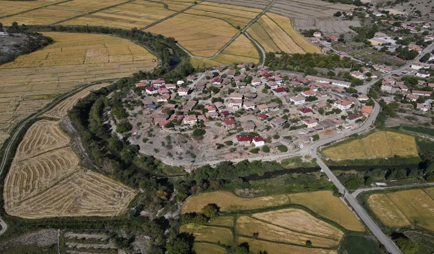 Tosya pirincine zehir mi karışacak!