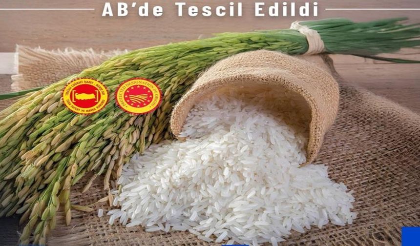 Tosya Pirincine bir rakip daha: Avrupa Birliği onların pirincini tescilledi