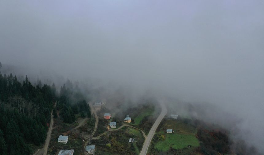 Kastamonu'da sonbaharın renkleri sisle birleşti