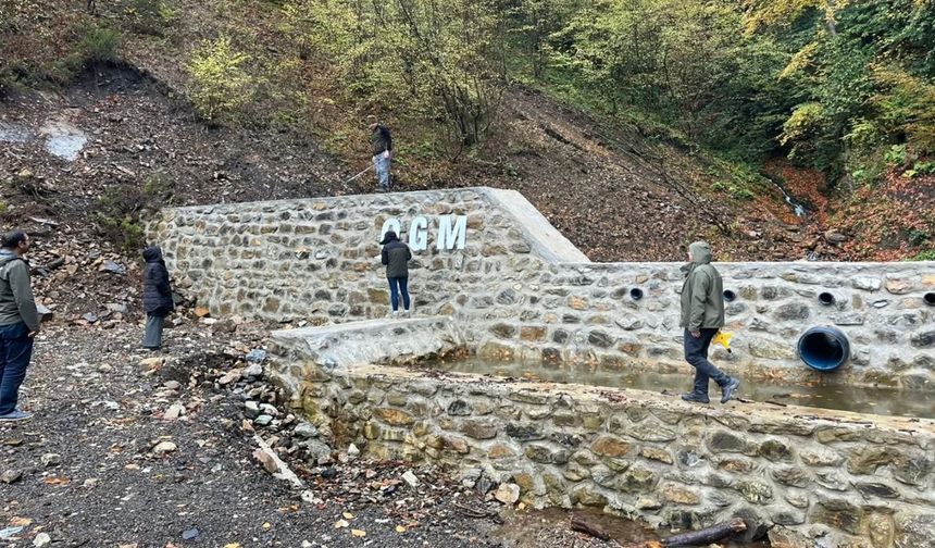 Bozkurt’ta Sel ve Erozyon Riskini Azaltacak Çalışma