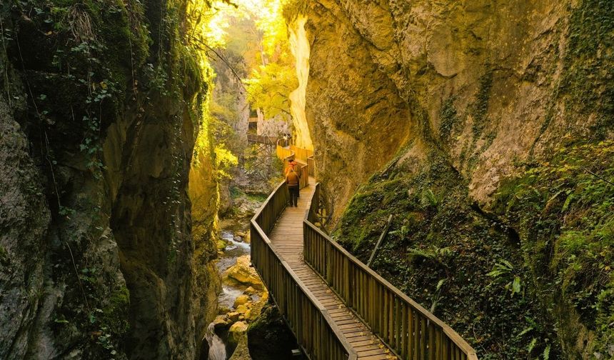 Sonbaharın Büyüsüne Yolculuk: Horma Kanyonu’nda Renk Cümbüşü Başladı