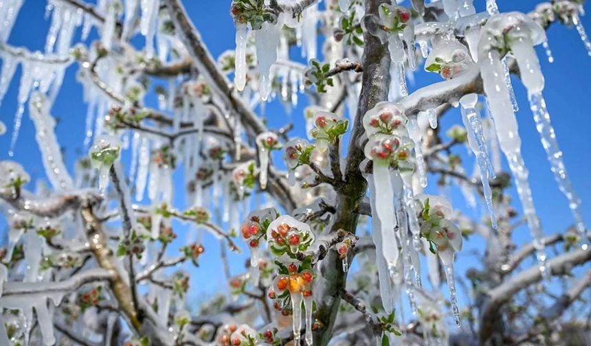 Çiftçi için yeni tehlike kapıda: Uzmanlar tarih verip uyardı!