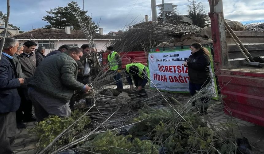 Kastamonu'da Doğaya Nefes: Binlerce Fidan Vatandaşlarla Buluştu