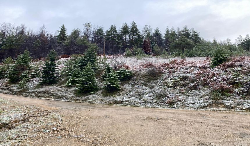 Kastamonu’da Mevsimin İlk Karı Yağdı: Sürücülere Gizli Buzlanma Uyarısı