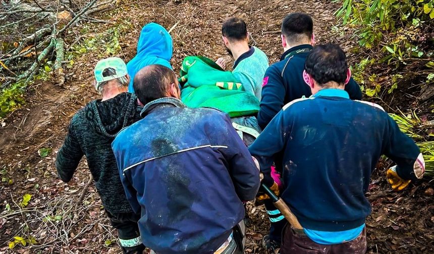 Kastamonu’da Korku Dolu Anlar: Tomruğun Altında Kalan Vatandaş Kurtarıldı