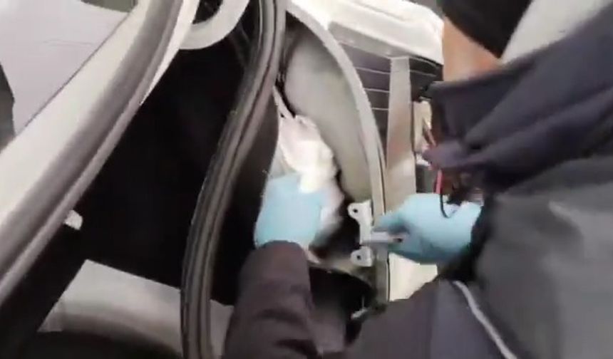 Kastamonu'da narkotik operasyonu: 3 şahıs tutuklandı!