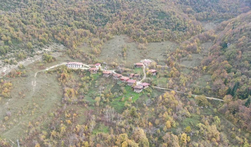 Kastamonu'da sonbahara bürünen ormanlar mest ediyor