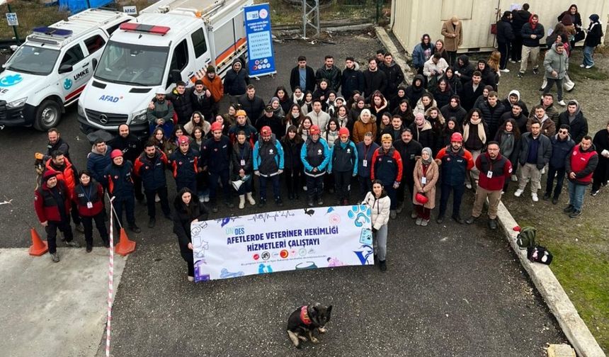 Kastamonu’dan Türkiye’ye Örnek: Afetlerde Veteriner Hekimlik Çalıştayı Düzenlendi