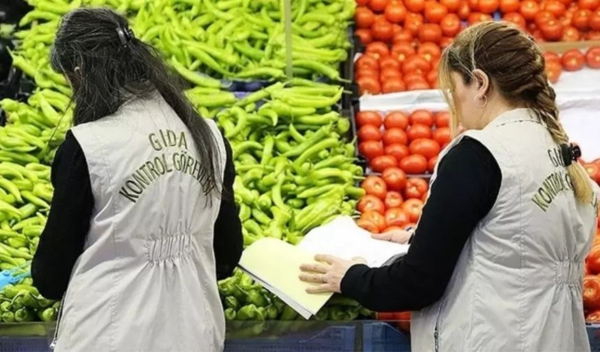 Pestisit ve hijyen kontrolleri artıyor: Bakanlık 81 ilde sahada