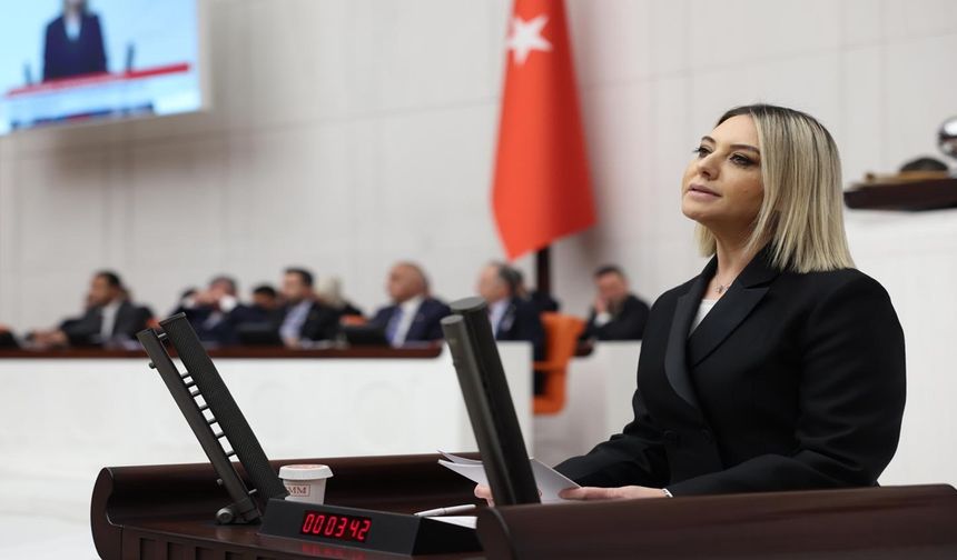 Kastamonu Milletvekili Serap Ekmekci, TBMM Kürsüsünde Konuştu