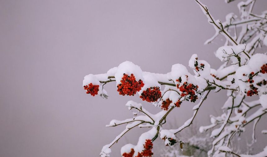 16 Ocak 2026 Kastamonu’da okullar tatil mi?