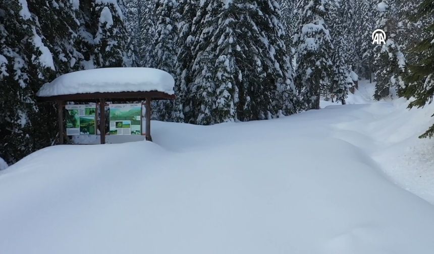 Kastamonu'da kar yağışı etkili oluyor: Yeniden beyaza bürünüyor