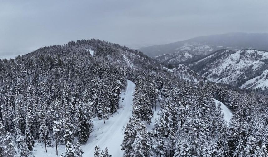 Kastamonu ormanları karla beyaza büründü: Manzara büyüledi