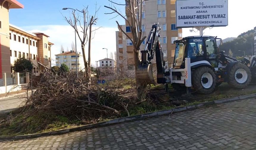 Kastamonu'nun ilçesinde ekipler sahada çalışma yaptı