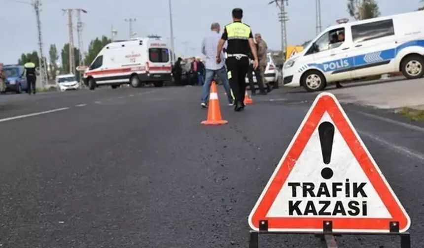 Cide sahil yolunda gece kazası