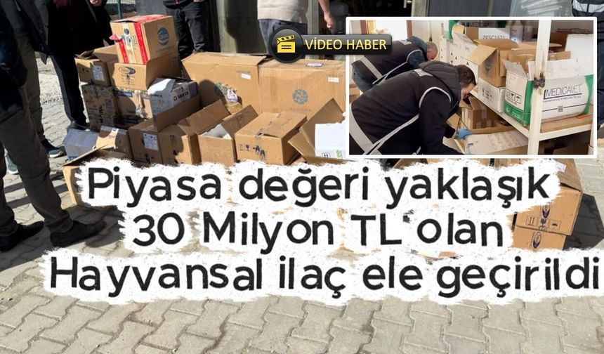 Kastamonu’da Operasyon: Piyasa Değeri 30 Milyon TL
