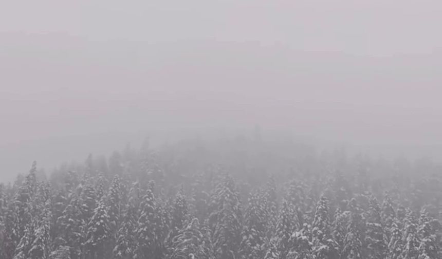 Kastamonu’da Kar Yüzünü Yeniden Gösterdi: Ilgaz Dağı Beyaza Büründü