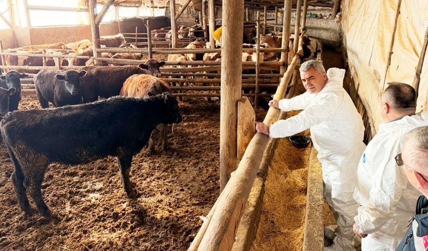 Kastamonu'da Besiciye Yakın Takip