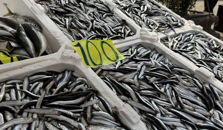 Balık tezgahlarında Ramazan mesaisi: Hamsi 100 liradan satılıyor