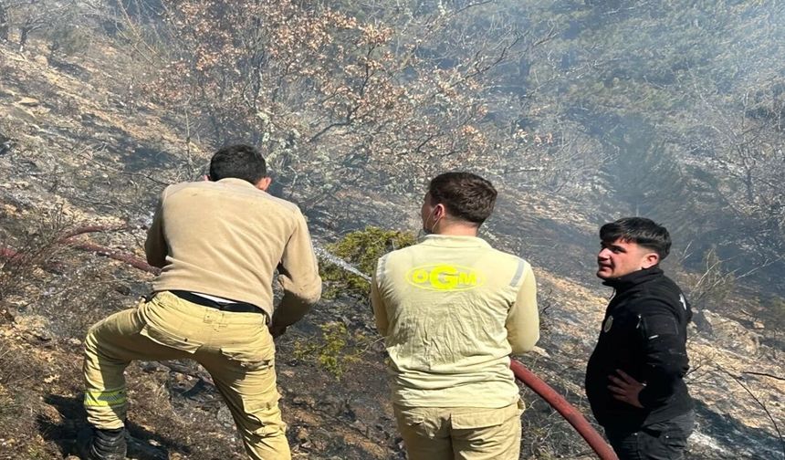Kastamonu’da yangın çıktı: Ekipler seferber oldu!