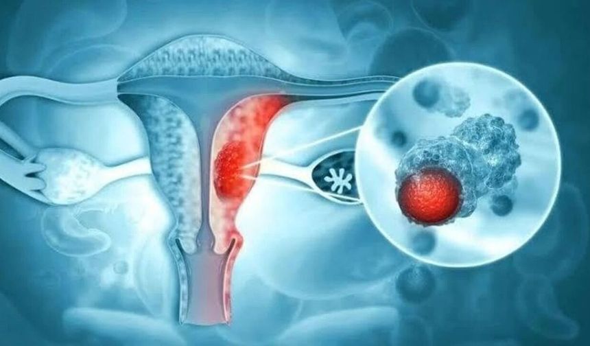 Hekimler farkındalık için buluştu: Endometriozis hastalığına dikkat çekildi!