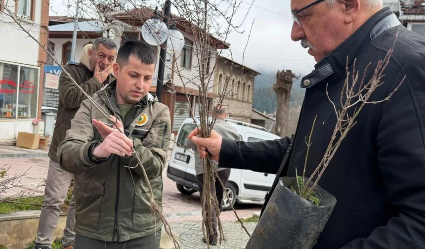 Kastamonu'da vatandaşlara binlerce fidan dağıtıldı