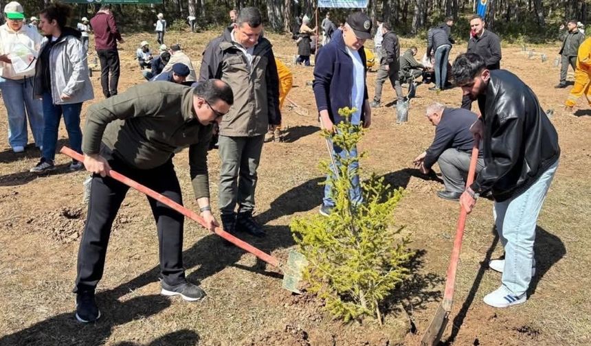 Kastamonu’nun ilçesinde 200 fidan toprakla buluştu
