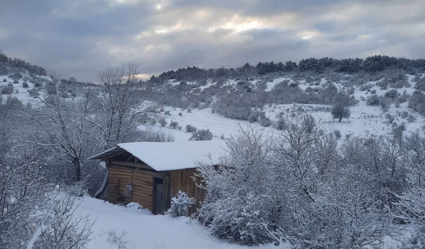Taşköprü'nün köyü beyaz örtüyle kaplandı