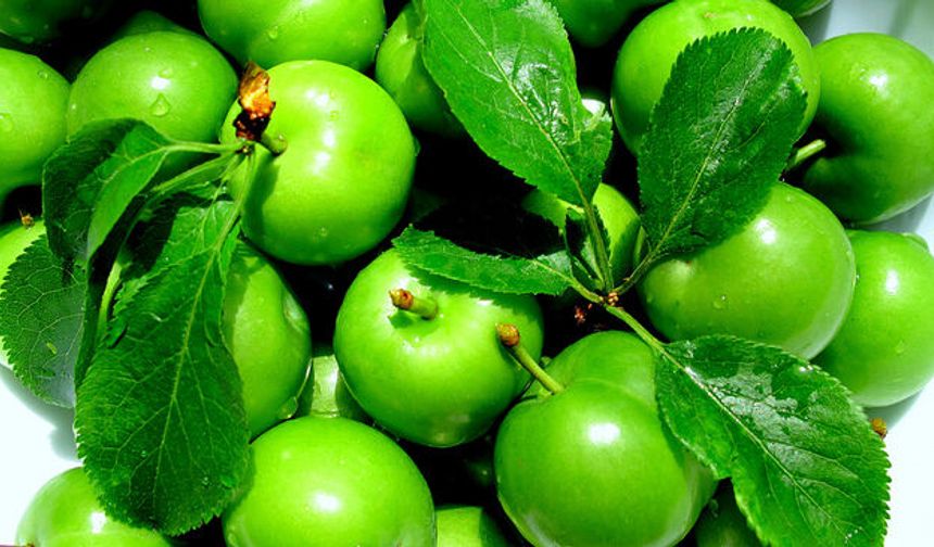 Taşköprü’de erik fiyatları uçtu