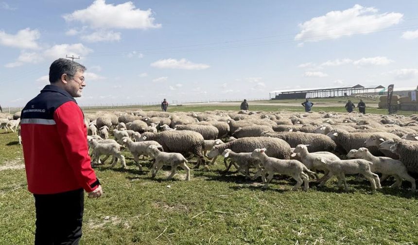 Kastamonulu Bakan 'en iyi ırk oluşturulacak' dedi