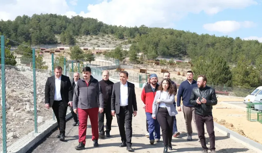 Kastamonu Belediye Başkanı Baltacı: 'Can dostlarımız için çalışmaya devam edeceğiz'